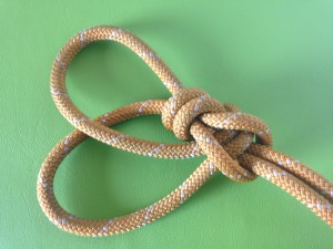 Fusion Knot (6)