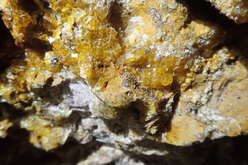 A close up view of small cubic fluorspar crystals on a limestone rock