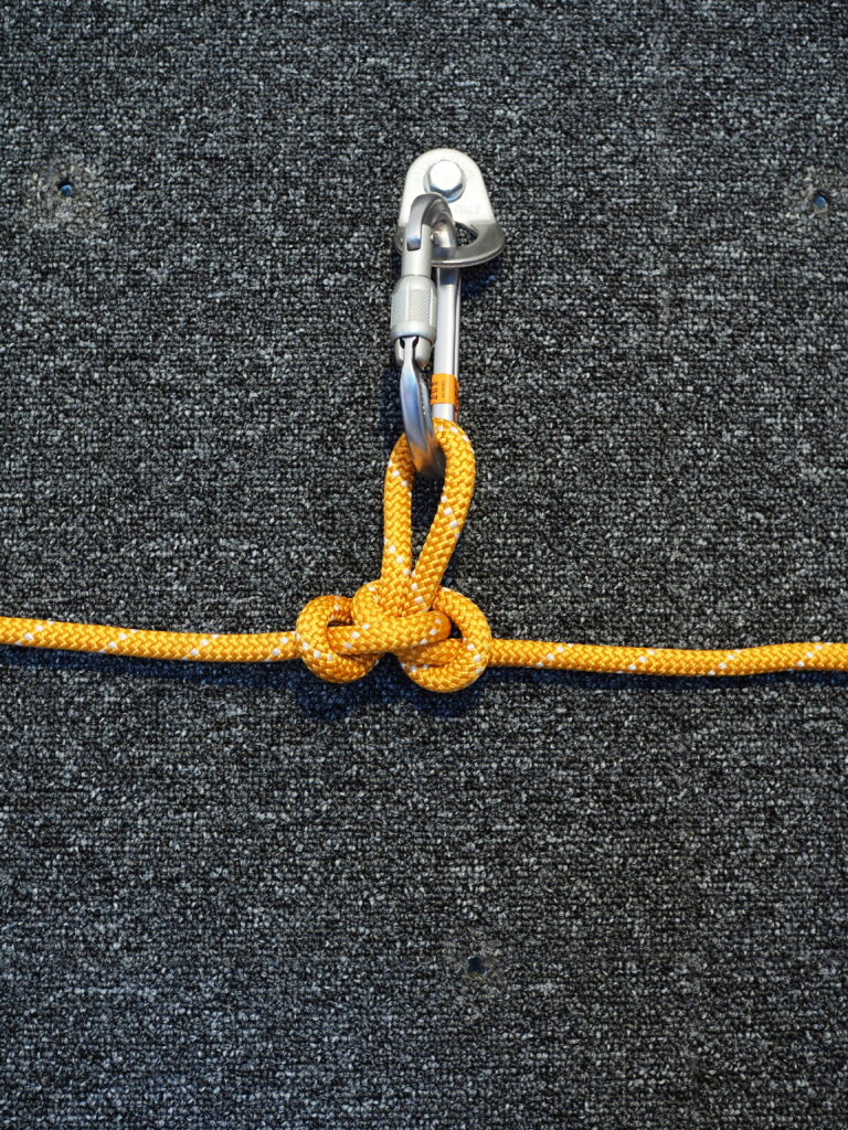 Alpine Butterfly clipped to intermediate anchor