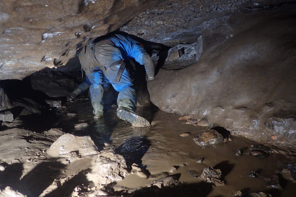 A low cave passage with a muddy caver stooping